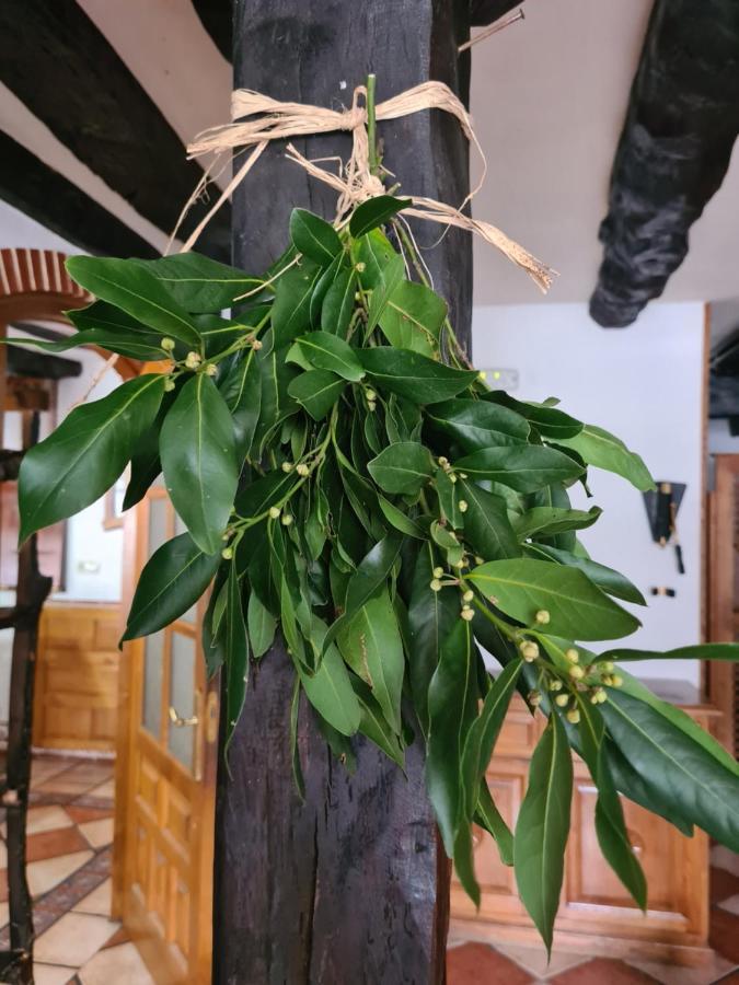 Hotel Rural El Sestil Добрес Экстерьер фото